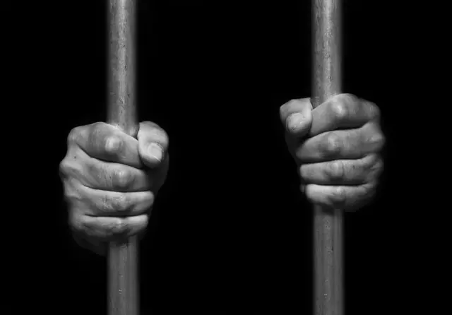 Person's hands holding prison bars (stock photo)