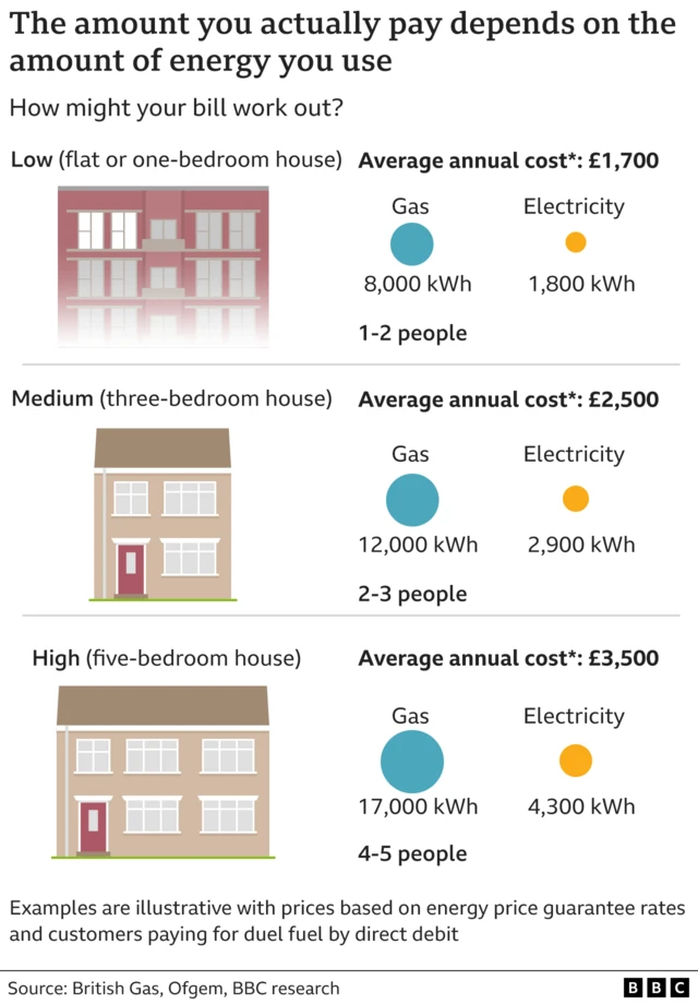 BBC graphic showing how much different households pay for energy on average