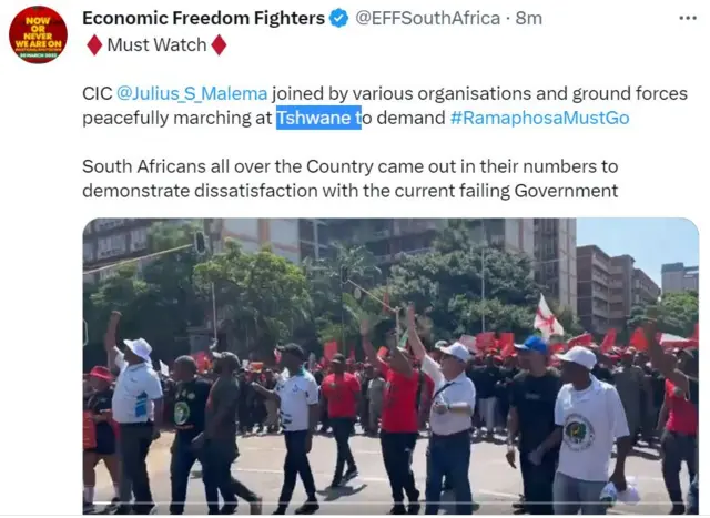 Screengrab of a tweet by the EFF showing Mr Malema and others at the protests