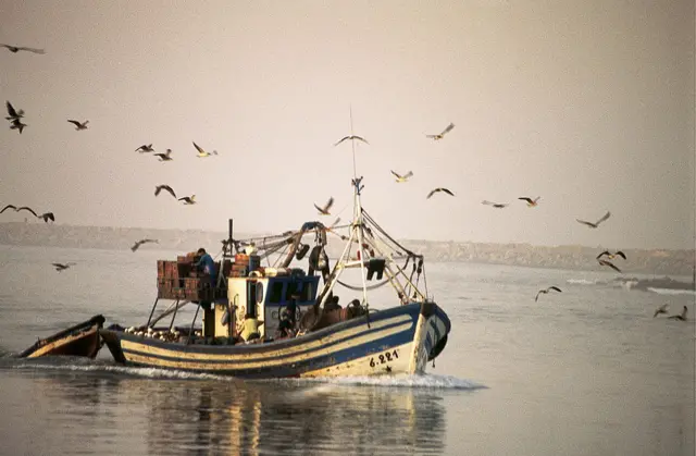 Commercial fishing boat, Morocco