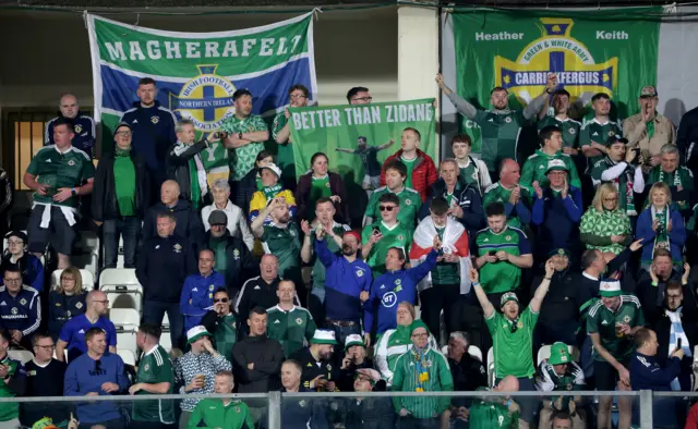 Northern Ireland fans