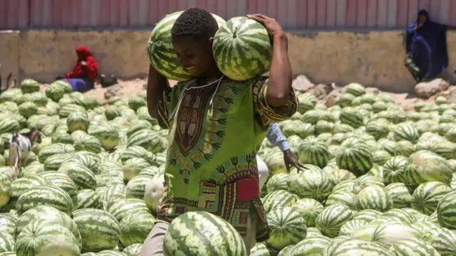 A Somali vendor carries watermelons for sale at an open air grocery market