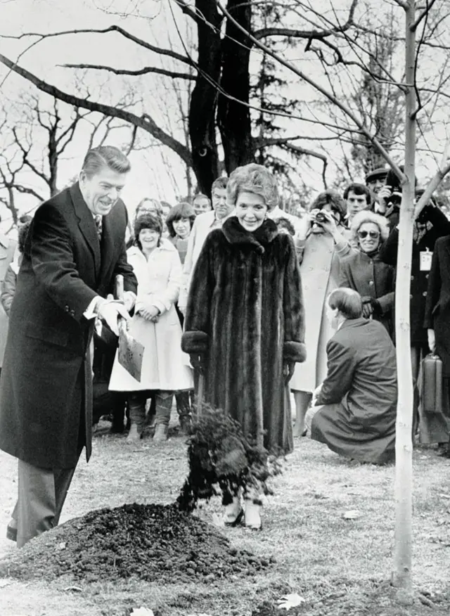 President Ronald Reagan and First Lady Nancy Reagan help to plant a tree, as is tradition.