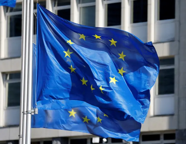 Two European Union flags