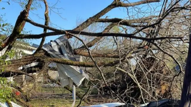 Tornado wreckage and fallen tree