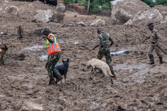 Malawi Police Service Dog Handlers lead sniffer dogs into the area of mudslide disaster during a joint search and rescue operation to recover bodies of victims of the mudslide at Manje informal settlement up on the slopes of Soche Hill in Blantyre, Malawi, on March 17, 2023.