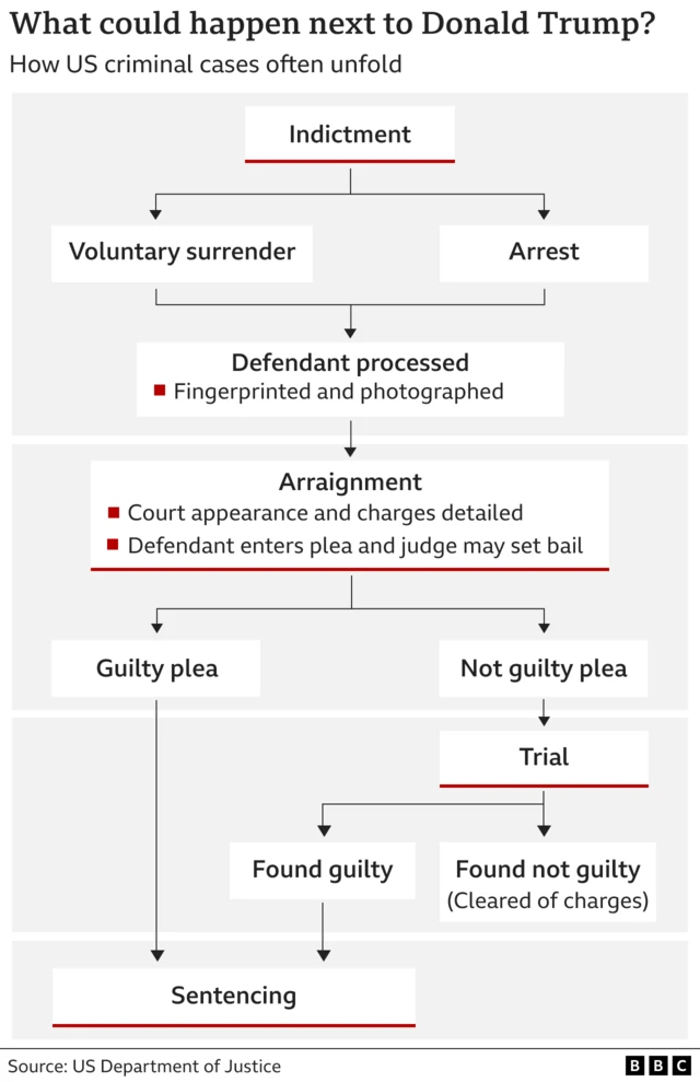 Flowchart showing the procedure in US criminal cases