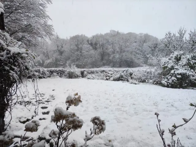 Garden covered in snow