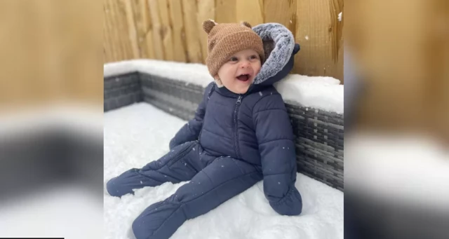 Vinnie's first snow day in Ely, Cardiff