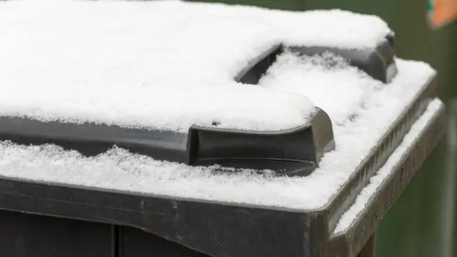 Snowy bin