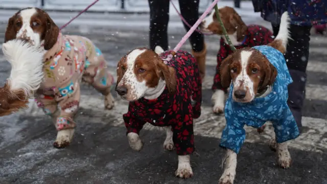 People arrive on the first day of the Crufts Dog Show at the National Exhibition Centre (NEC) in Birmingham