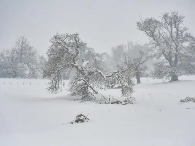 Snow in Oswestry