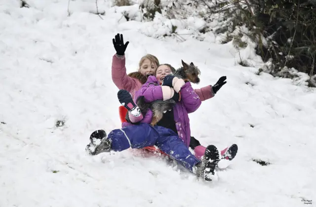 Children and dog enjoying the snow