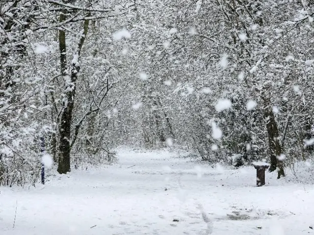 Snow in Dawley, Shropshire