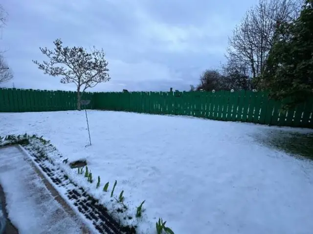 Snow in Lisburn