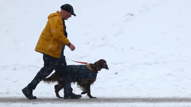 A dog and their owner arrive on the first day of the Crufts dog show