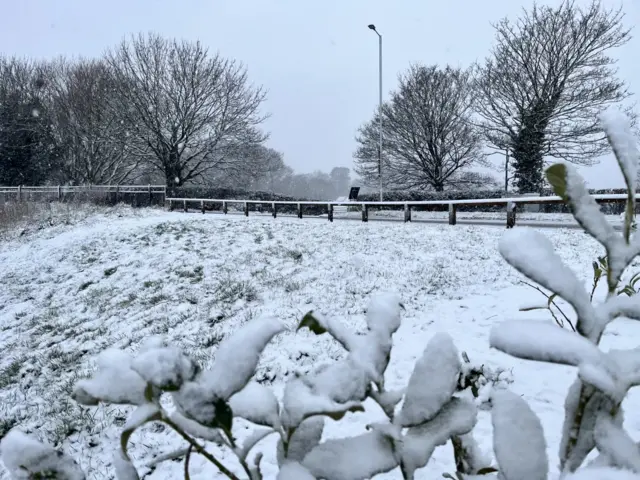 Snow in Mold