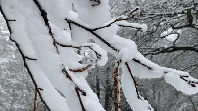 Snow in Jubilee Park, Solihull