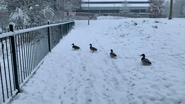 Snow in Jubilee Park, Solihull