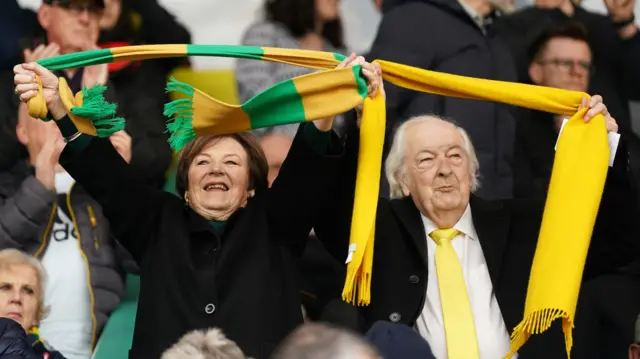 Norwich City owners