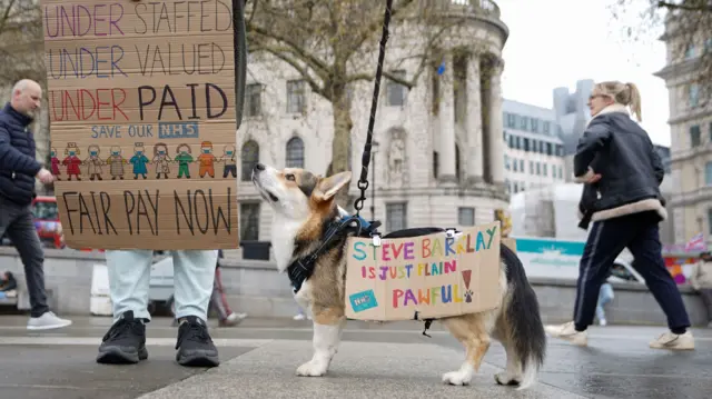 A dog wears a sign saying "Steve Barclay is just plain pawful"