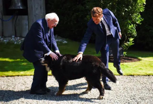 Emmanuel Macron pets Michael D Higgins' pet dog