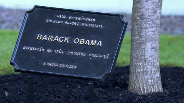 Plaque at tree planted by Barack Obama in 2011