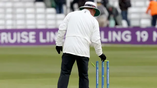 Umpire flicks off the bails