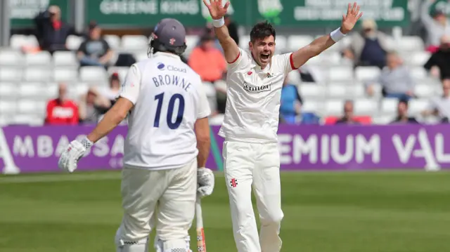 James Anderson celebrates wicket