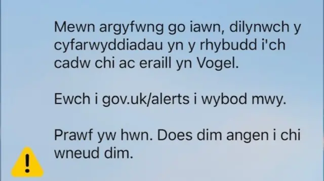 The alert in Welsh with a rogue word "Vogel"