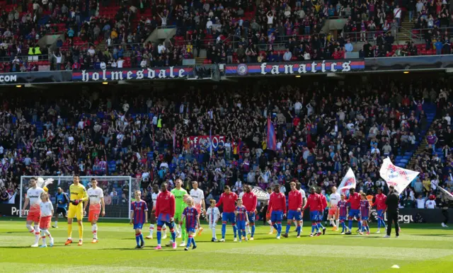 Crystal Palace fans