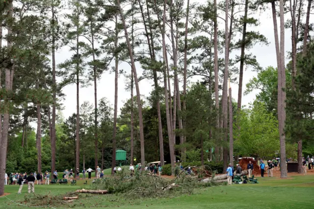 Trees fallen down on 17th tee at Augusta National