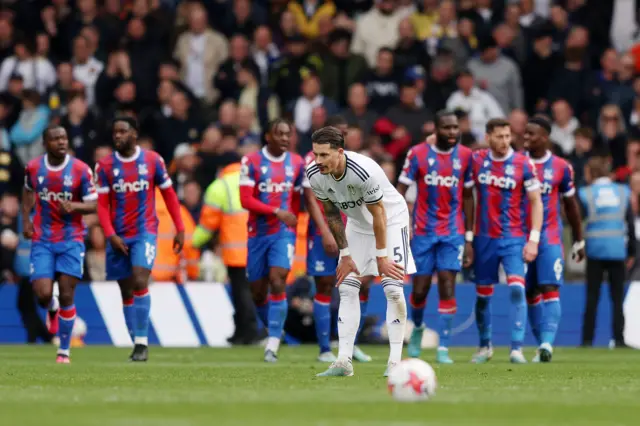 Crystal Palace celebrate