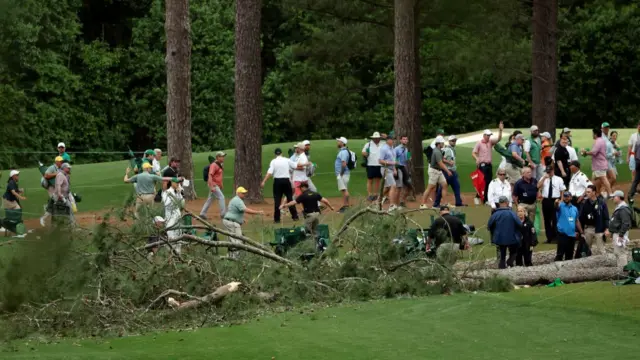 Trees at the 17th