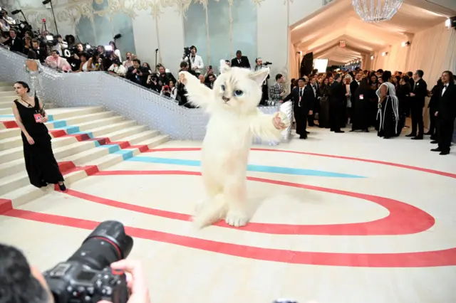 Jared Leto, dressed as Karl Lagerfeld's cat Choupette