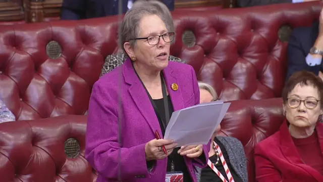 Liberal Democrat peer Baroness Kramer