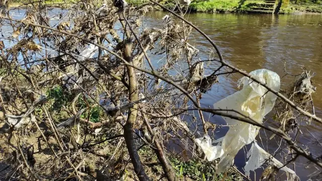 Sewage waste in River Almond