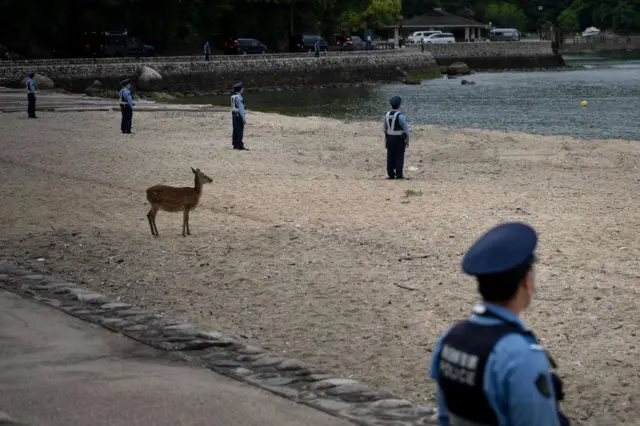 Police, and a deer, stand guard as the motorcade of US President Joe Biden travels to the Itsukushima Shrine at Miyajima Island.