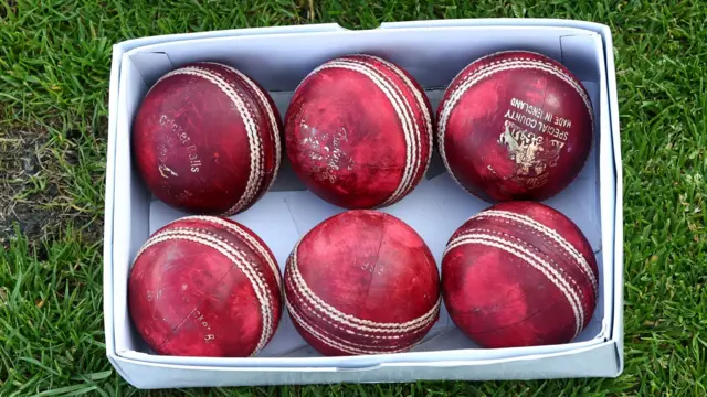 Cricket balls