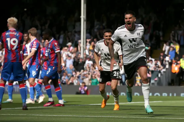 Aleksandar Mitrovic celebrates