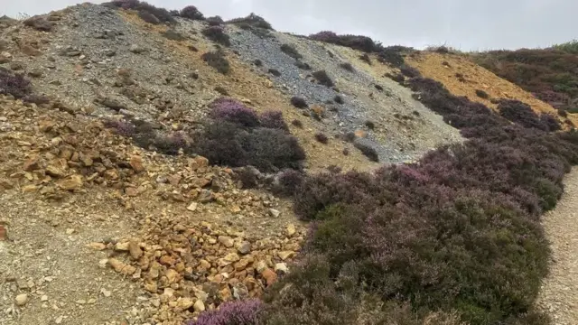 An old copper mine at Parys Mountain has spoil heaps stained different colours by the metal ores in the rocks