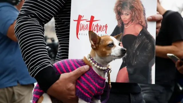 Closeup of a man holding a dog and a Tina Turner record