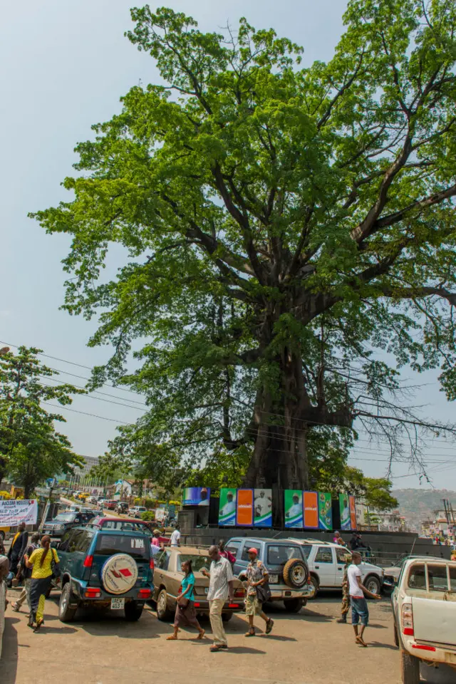 Street scene with Freedom Tree in Freetown, Sierra Leone in 2013