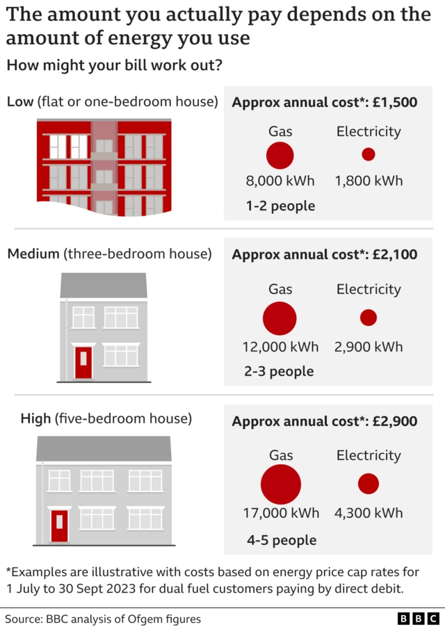 Graphic showing energy costs in different sized houses