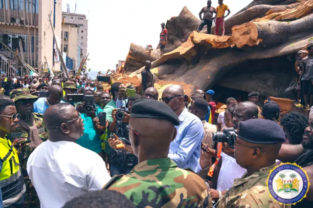 The fallen cotton tree in Freetown, Sierra Leone