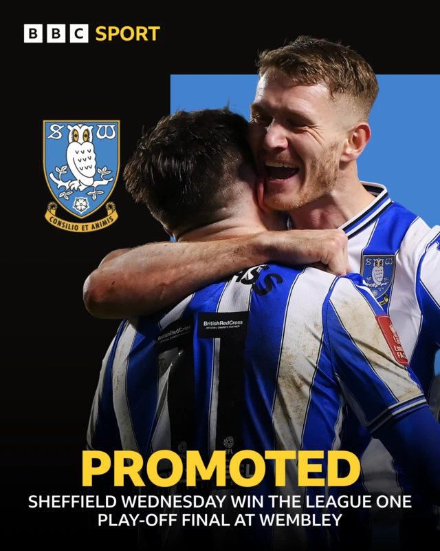 Sheffield Wednesday promoted graphic