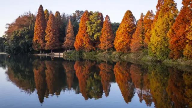 Emmarentia Dam