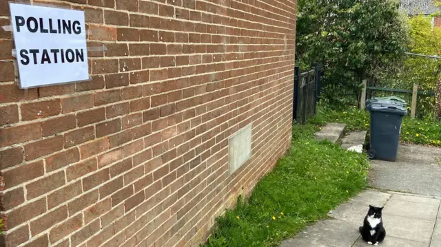 A cat named Bertie waits outside a polling station in north Leeds