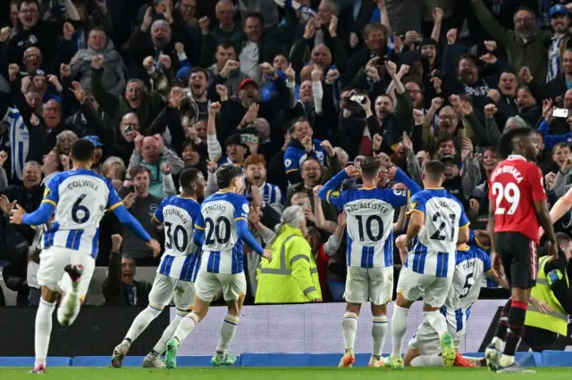 Brighton fans celebrate