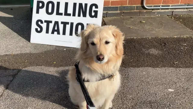 File image of a dog at a polling station